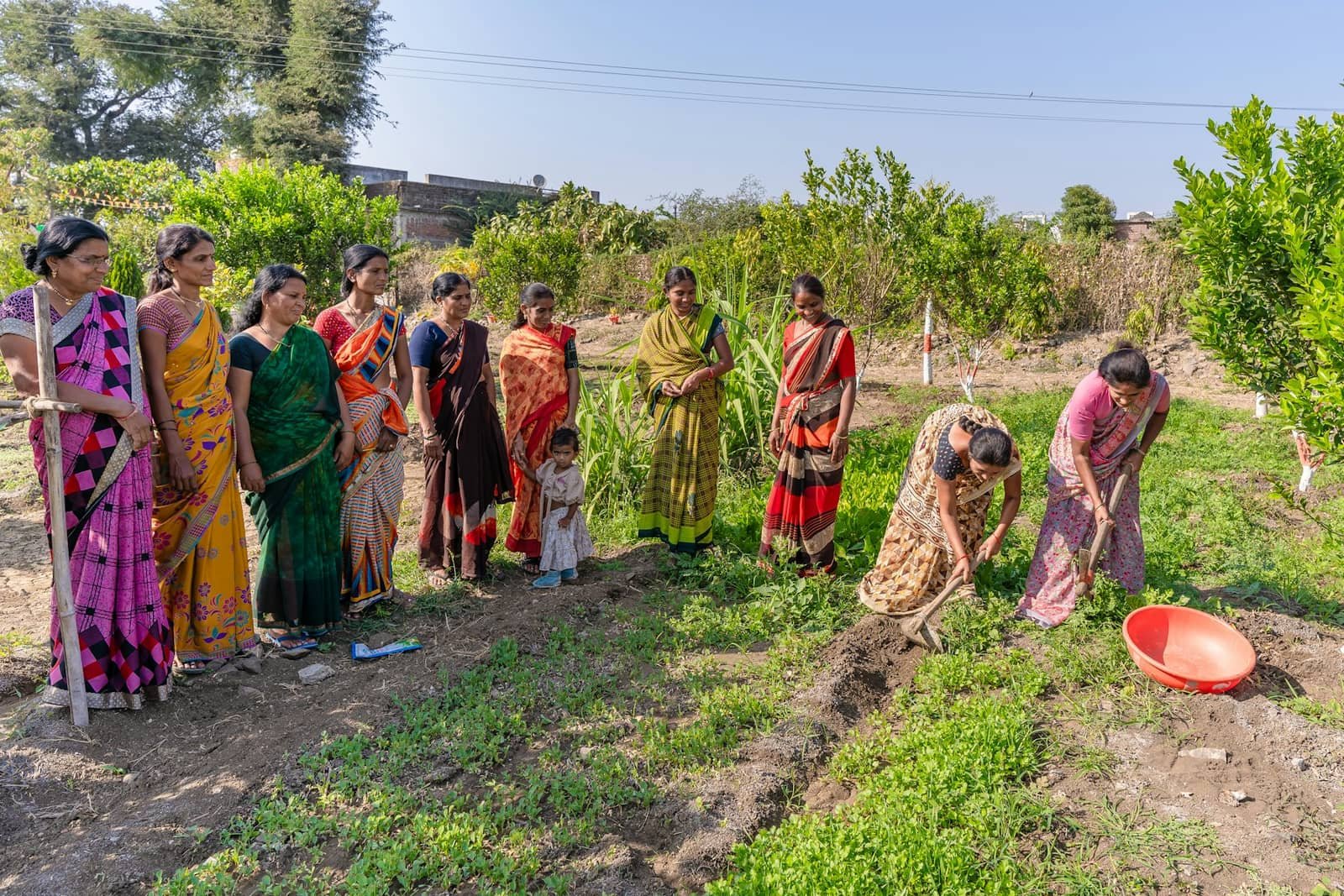 Women's group working in a plantation